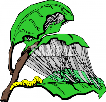 Nature and Scenic Clipart