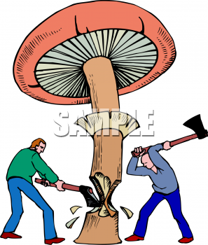 Nature and Scenic Clipart