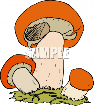 Nature and Scenic Clipart