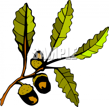 Nature and Scenic Clipart
