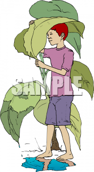 Nature and Scenic Clipart