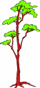 Nature and Scenic Clipart