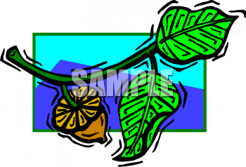 Nature and Scenic Clipart