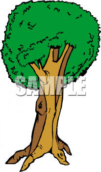 Nature and Scenic Clipart