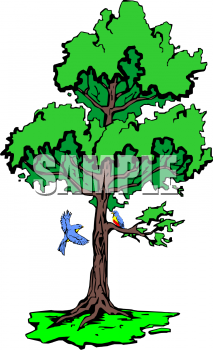 Nature and Scenic Clipart