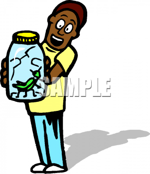 Insect Clipart