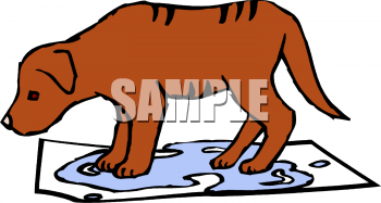 Pet Clipart