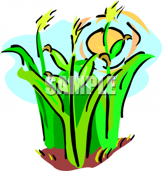 Farm Produce Clipart