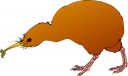 Invertebrates Clipart