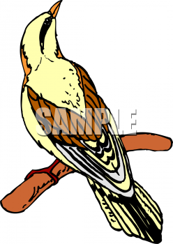 Bird Clipart