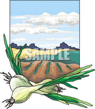 Farm Produce Clipart
