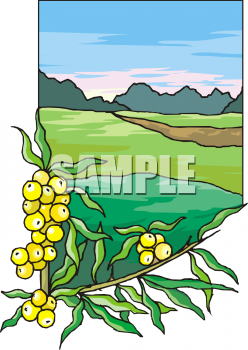 Farm Produce Clipart