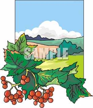 Farm Produce Clipart