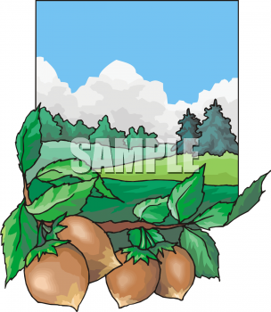 Farm Buildings Clipart