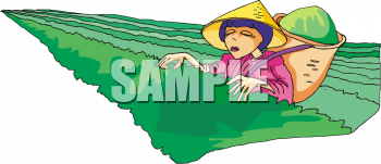 Farming Clipart