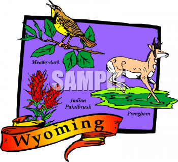 Bird Clipart