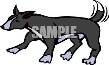 Pet Clipart