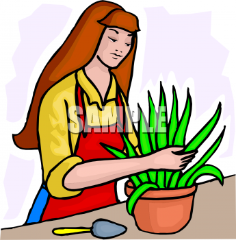Plant Clipart