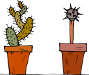 Plant Clipart