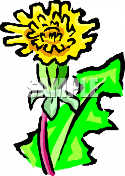Flower Clipart