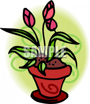 Flower Clipart