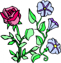 Flower Clipart