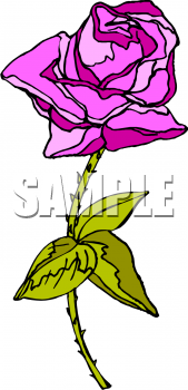 Flower Clipart