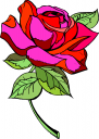 Flower Clipart
