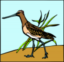 Grass and Tree Clipart