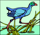 Grass and Tree Clipart