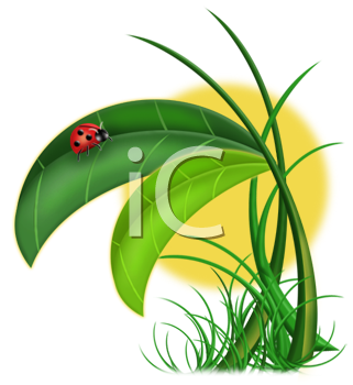 Grass and Tree Clipart