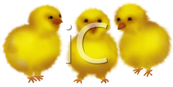 Farm Animal Clipart