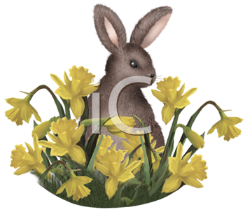 Pet Clipart