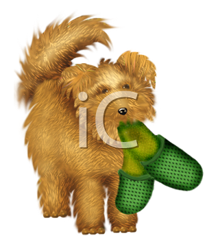 Dog Clipart