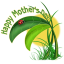 Beetle Clipart