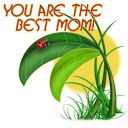 Beetle Clipart