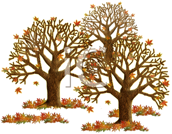 Thanksgiving Clipart