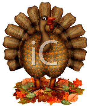 Bird Clipart