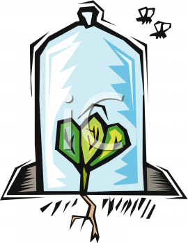 Insect Clipart
