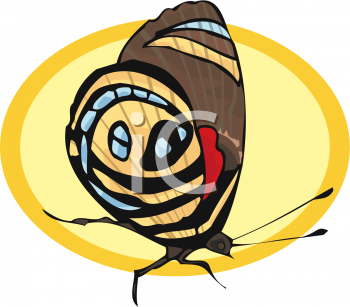 Insect Clipart