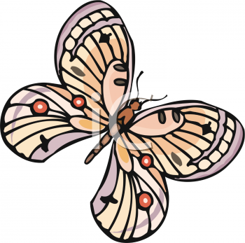 Insect Clipart