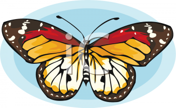 Insect Clipart