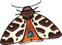 Insect Clipart