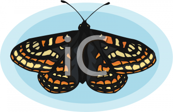 Insect Clipart