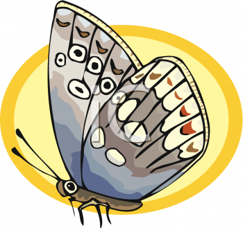 Insect Clipart