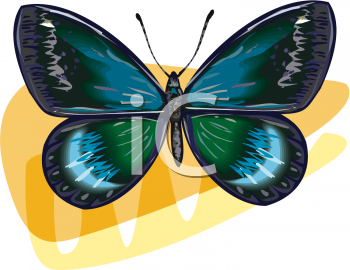 Insect Clipart