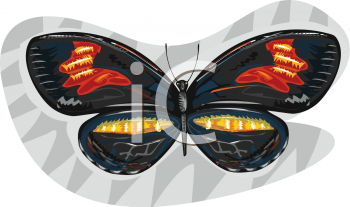 Insect Clipart