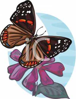 Insect Clipart