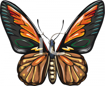 Insect Clipart
