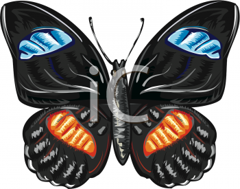 Insect Clipart